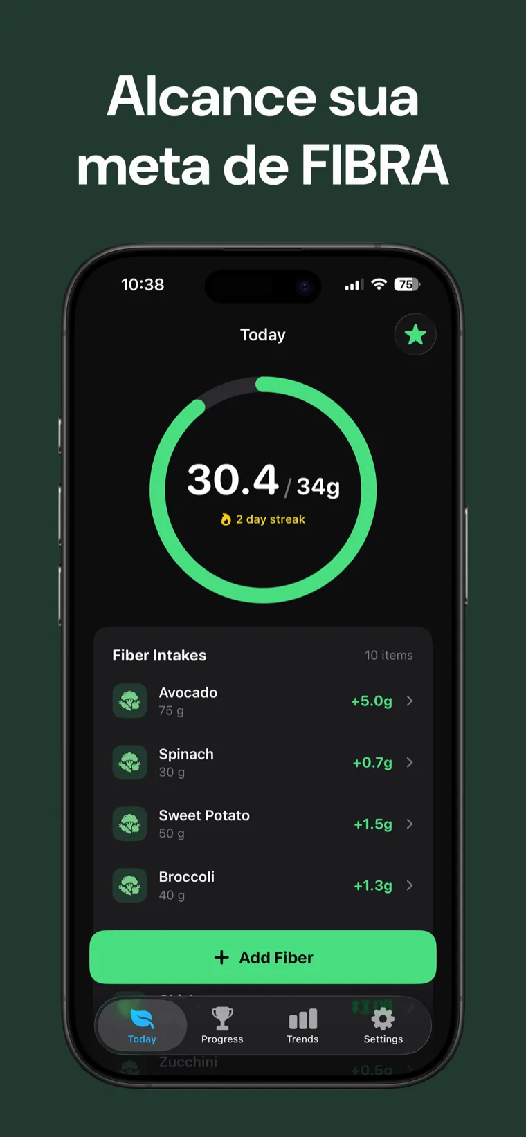 Alcance sua meta de FIBRA — Rastreador de Fibras no iPhone mostrando a ingestão diária em um anel de progresso limpo